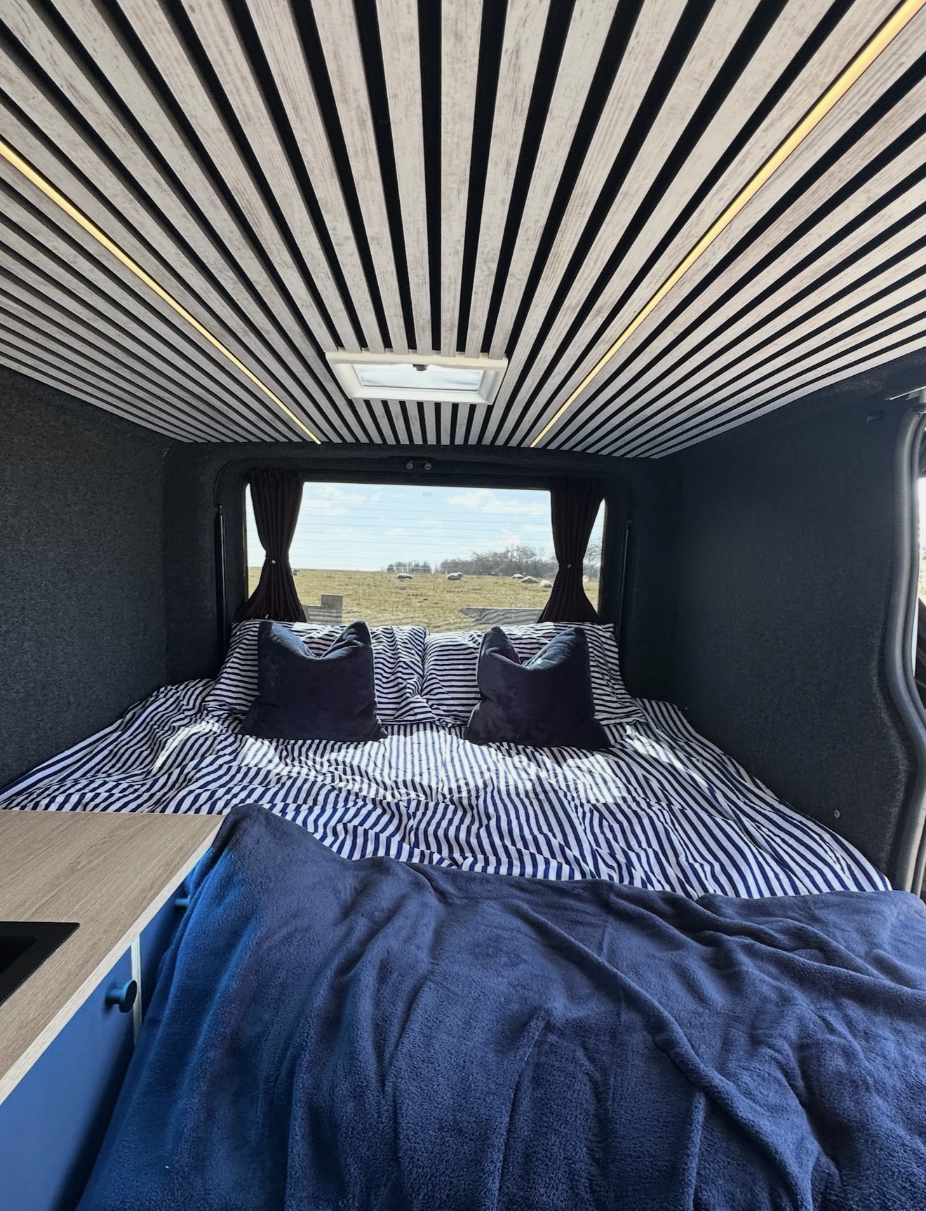 Van Build 7